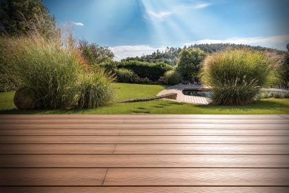 Hero2021 Natus Plus Teak