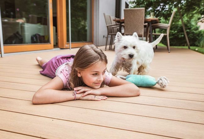 Infobox Bez Trisek V3