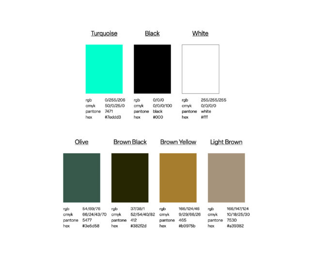 TERAFEST Guidelines Barvy1