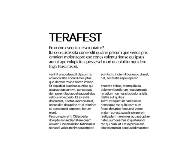 TERAFEST Guidelines Typografie1
